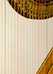 harp strings