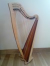 folk harp